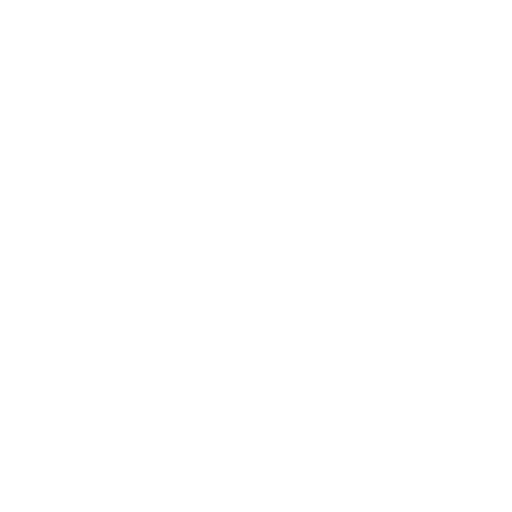 Seatbelt